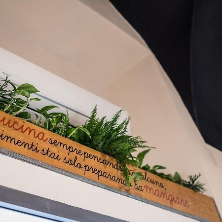 Duomo Guesthouse ピアチェンツァ エクステリア 写真